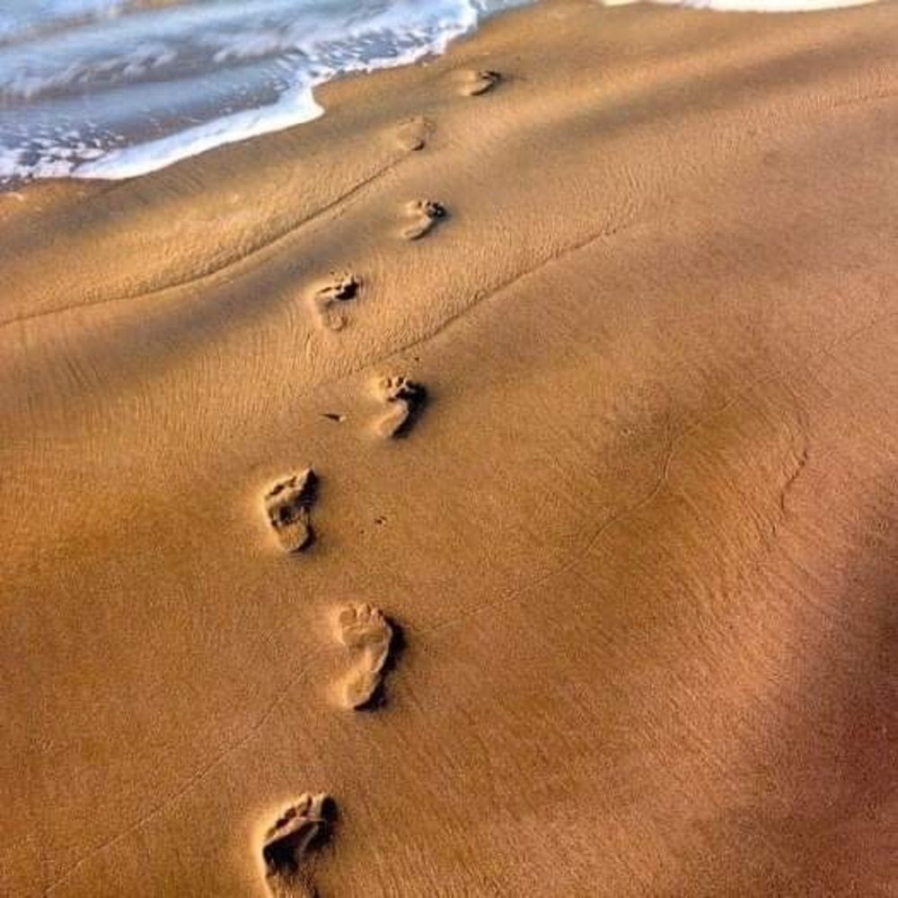 Meet your Posher, Anita